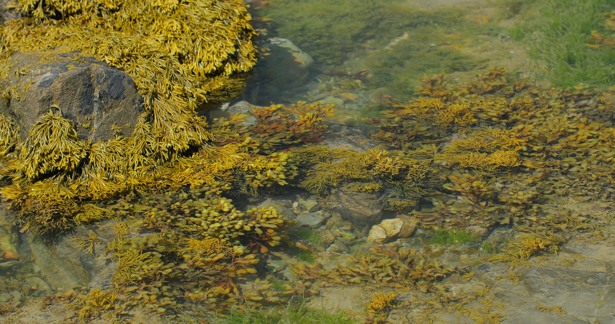 Power in the Land opens 6th Feb, Oriel Davies Gallery
