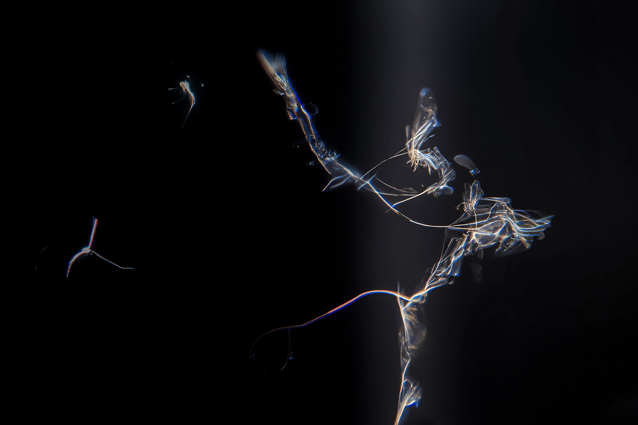 Fracture 2